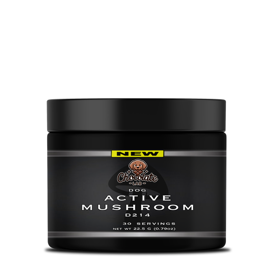 ACTIVE MUSHROOM DOG D214