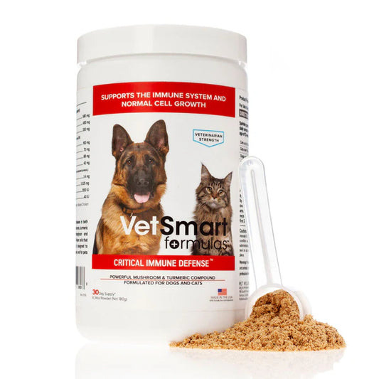 Critical Immune Defense - VetSmart Formulas Mushroom and Turmeric for Dogs & Cats 6.34 oz