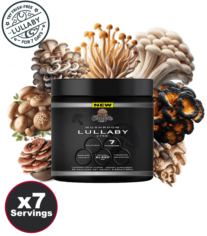 CHOCOLATE LAB LULLABY X758 Cinnamon - Hot Chocolate Mix
