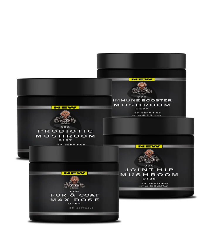 Best K-9 Dog Supplements