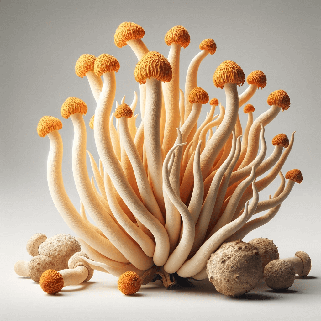 Cordyceps Mushroom for critical immune defense booster for dogs