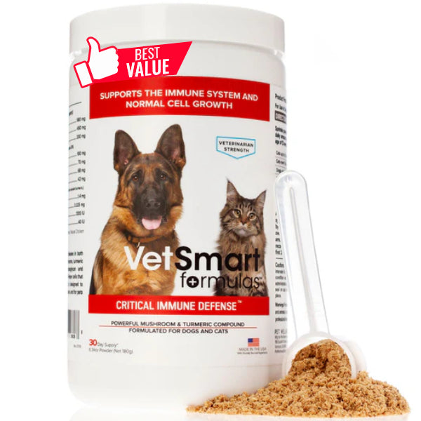 Critical Immune Defense - VetSmart Formulas Mushroom and Turmeric for Dogs & Cats 6.34 oz