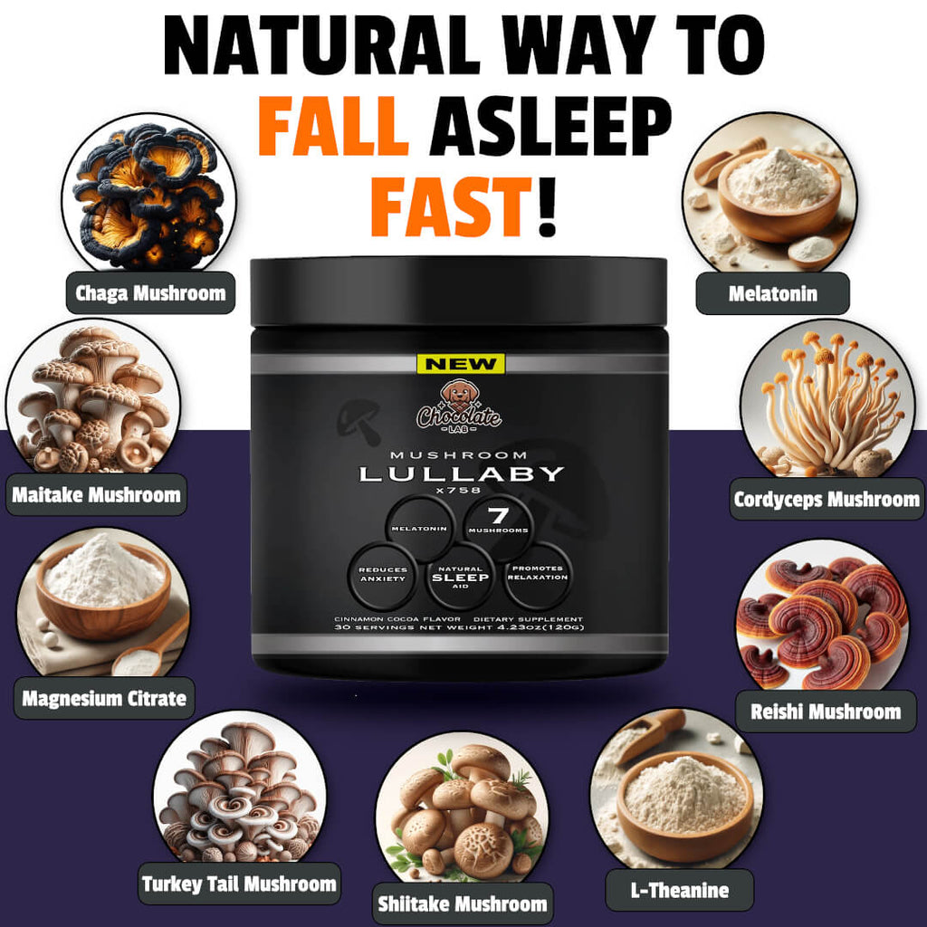 LULLABY X758 Sleep Cinnamon Hot Cocoa