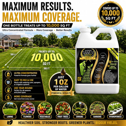 Liquid Aeration for Lawn - Humic & Fulvic Acid, Covers 10,000 Sq Ft